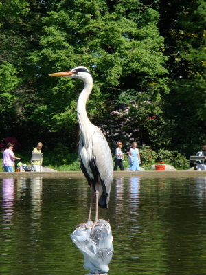 DSC01490.JPG