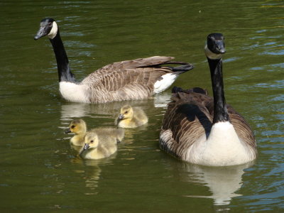 DSC01500.JPG