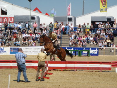 DSC01615.JPG