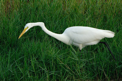 GWE_8752.jpg