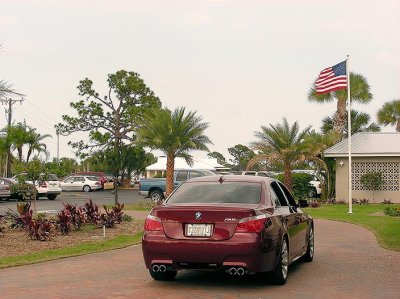 M5 at The Saints G.C..jpg