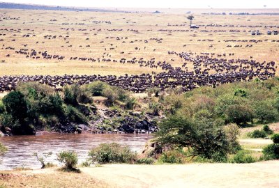 Masai Mara
