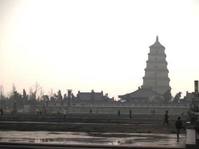 P3174882.jpg