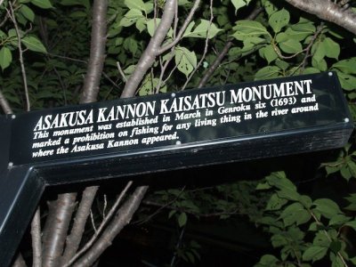 P7276536.jpg