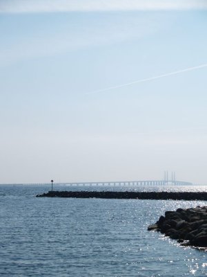 P8077377.jpg