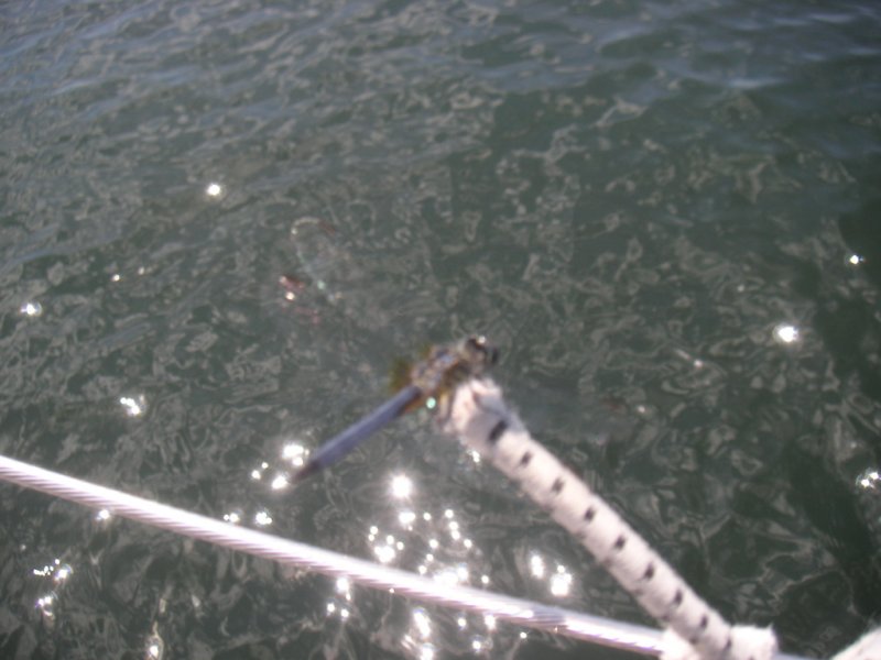 PICT3287.jpg