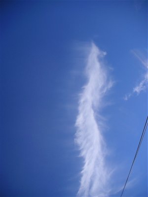 PICT3284.jpg