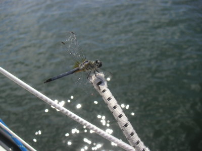 PICT3288.jpg