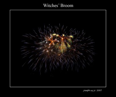 Witches' Broom
