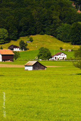 _MG_0639.jpg