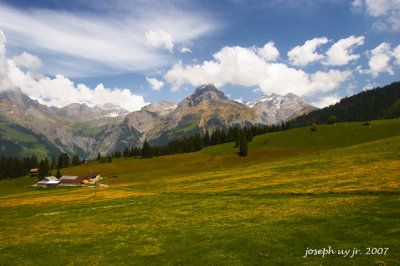 _MG_0787.jpg