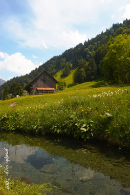 _MG_0789.jpg