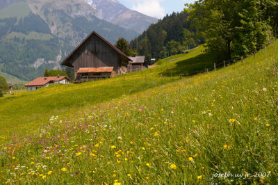 _MG_0792.jpg