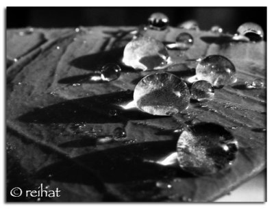 Droplets 2