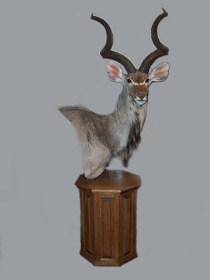 kudupedestal_edited-1.jpg