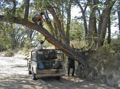 Hanging a Bait