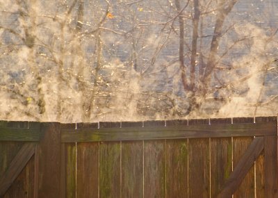 fencecropDSC_0002.jpg