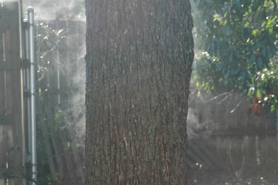 DSC_0005.JPG
