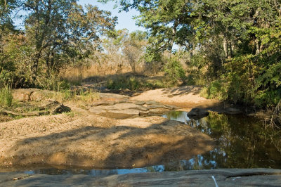 Water Hole Along the River