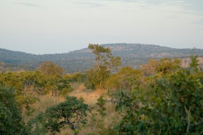 Makuti Landscape