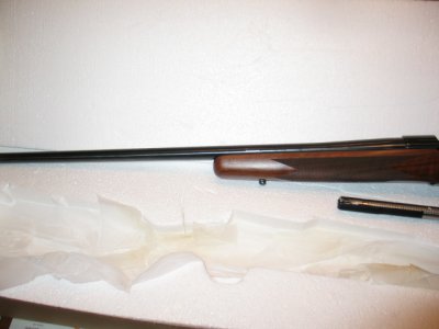 M70 011.jpg