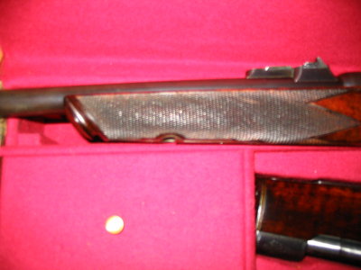 Woodward Rook 002.jpg