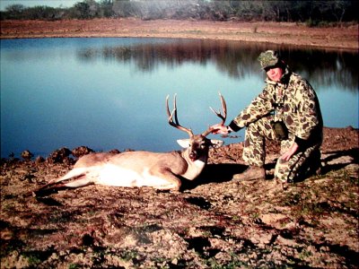 deer at the pond