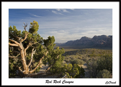 Red Rock Canyon