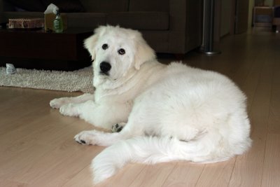 Hani 7 months