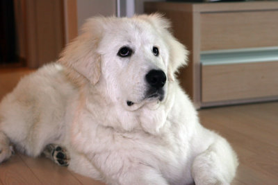 Hani 7 months