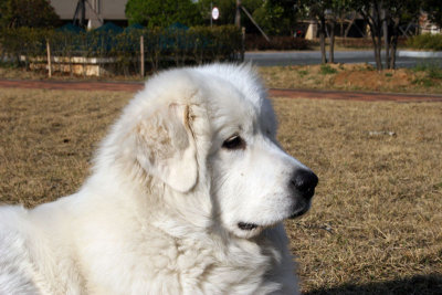 Hani 8 months