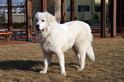 Hani 8 months