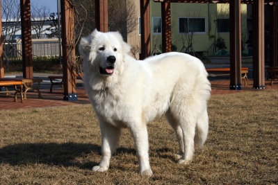 Hani 8 months