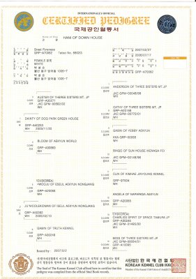 Family Tree Hani