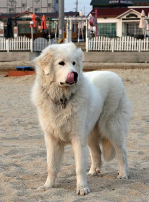 Hani 9 months