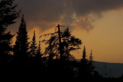 IMG_3804wwwwwwww.jpg