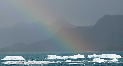 55--rainbow-rtwhalebay