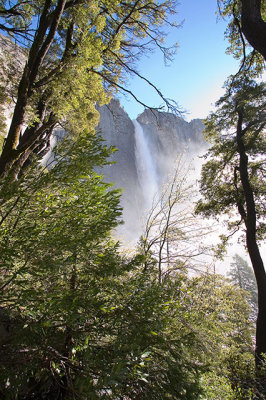 Near the falls