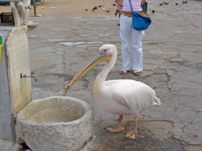 Mykonos