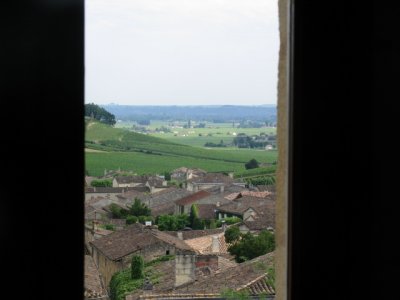 Through the window to the vineyards