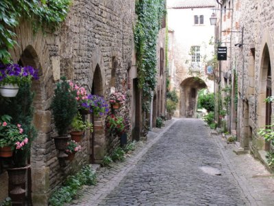 Flowers and narrow street