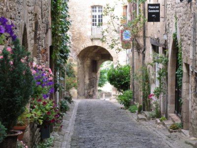 Flowers and narrow street 2