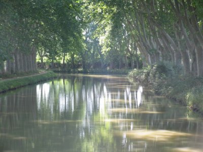 Evening on the Midi