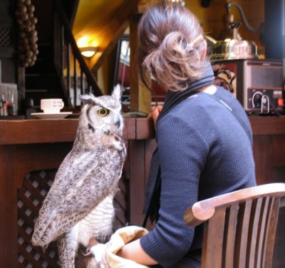 Young lady and owl