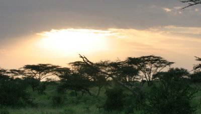 87-samburu-sunrise.jpg