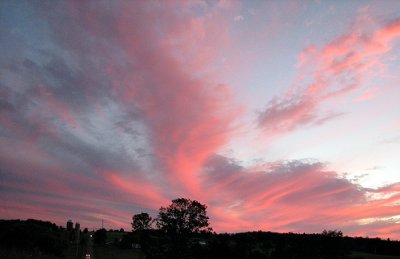 Sunset Plumes