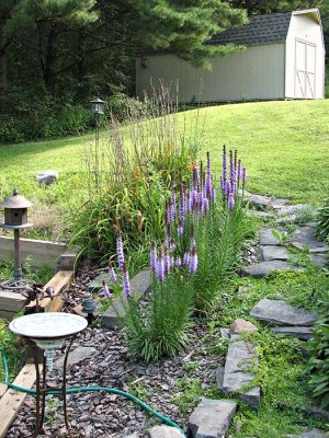 Hillside garden