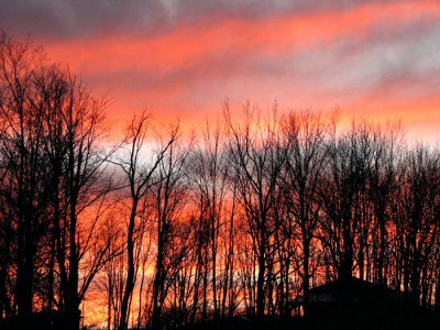 Sunset Behind House and Trees