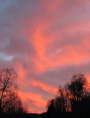 Sunset Plumes