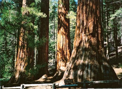 Yosemite - The Bachelor and The Three Graces